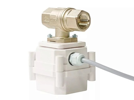 ШЭП  PROFESSIONAL 12V BONOMI   ¾