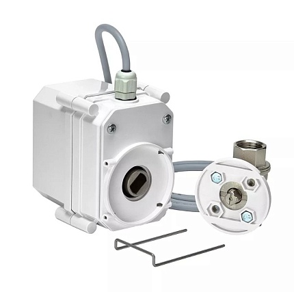 ШЭП PROFESSIONAL 12V BUGATTI 1