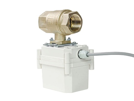 ШЭП  PROFESSIONAL  220V   S 1